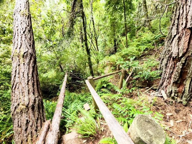 $329,000 | 15551 Forest View Road, Manchester, CA 95459