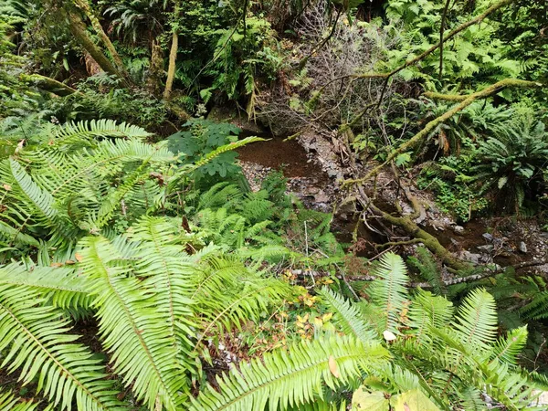 $329,000 | 15551 Forest View Road, Manchester, CA 95459