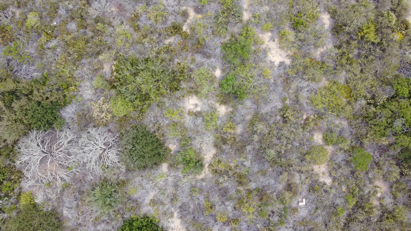 0 Arroyo Sorrento Place San Diego, CA 92130 - Photo 20 of 20