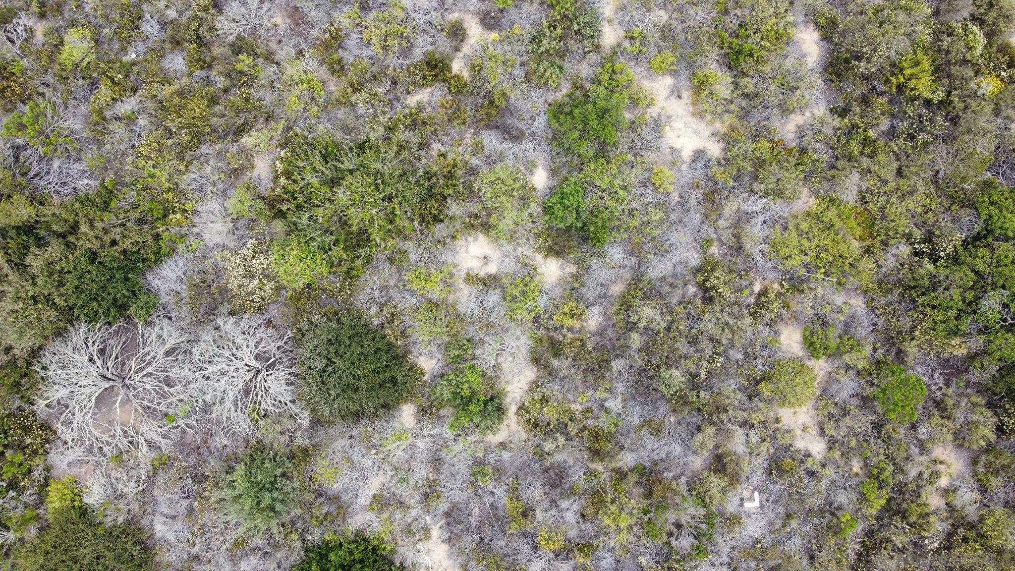 0 Arroyo Sorrento Place San Diego, CA 92130 - Photo 6 of 20