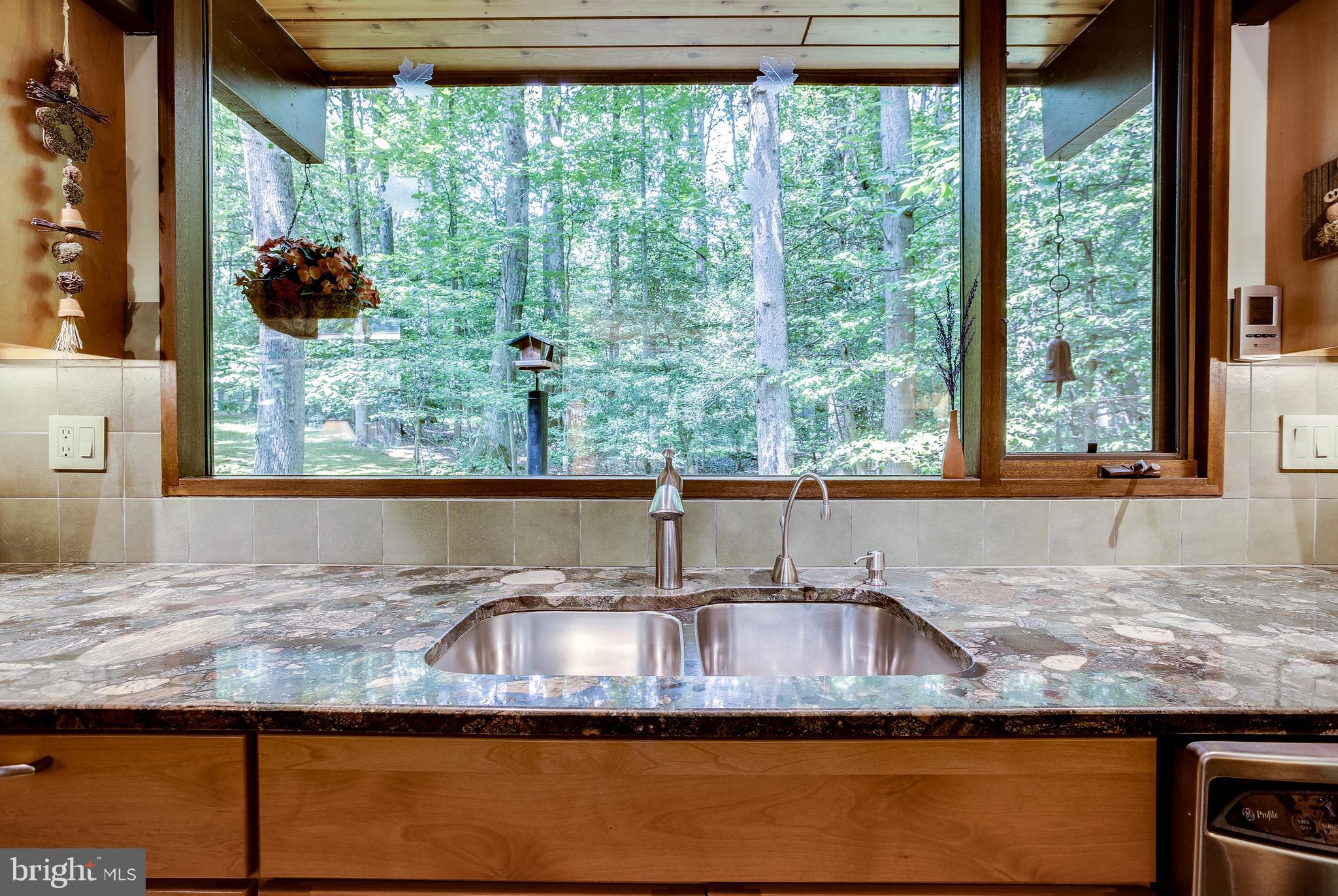 11606 Foxclove Road Reston, VA 20191 - Photo 22 of 80 Birdwatcher's Paradise!