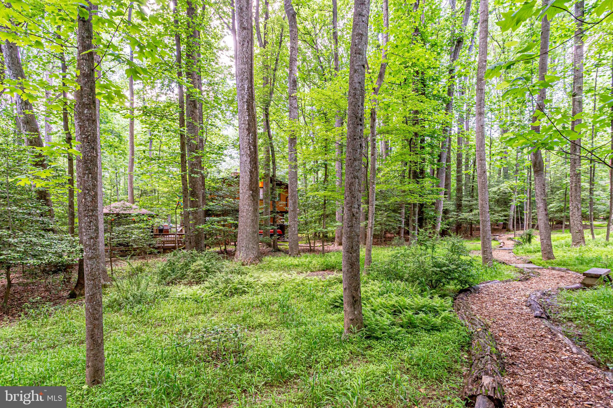 11606 Foxclove Road Reston, VA 20191 - Photo 47 of 80 Stroll Along Wooded Paths