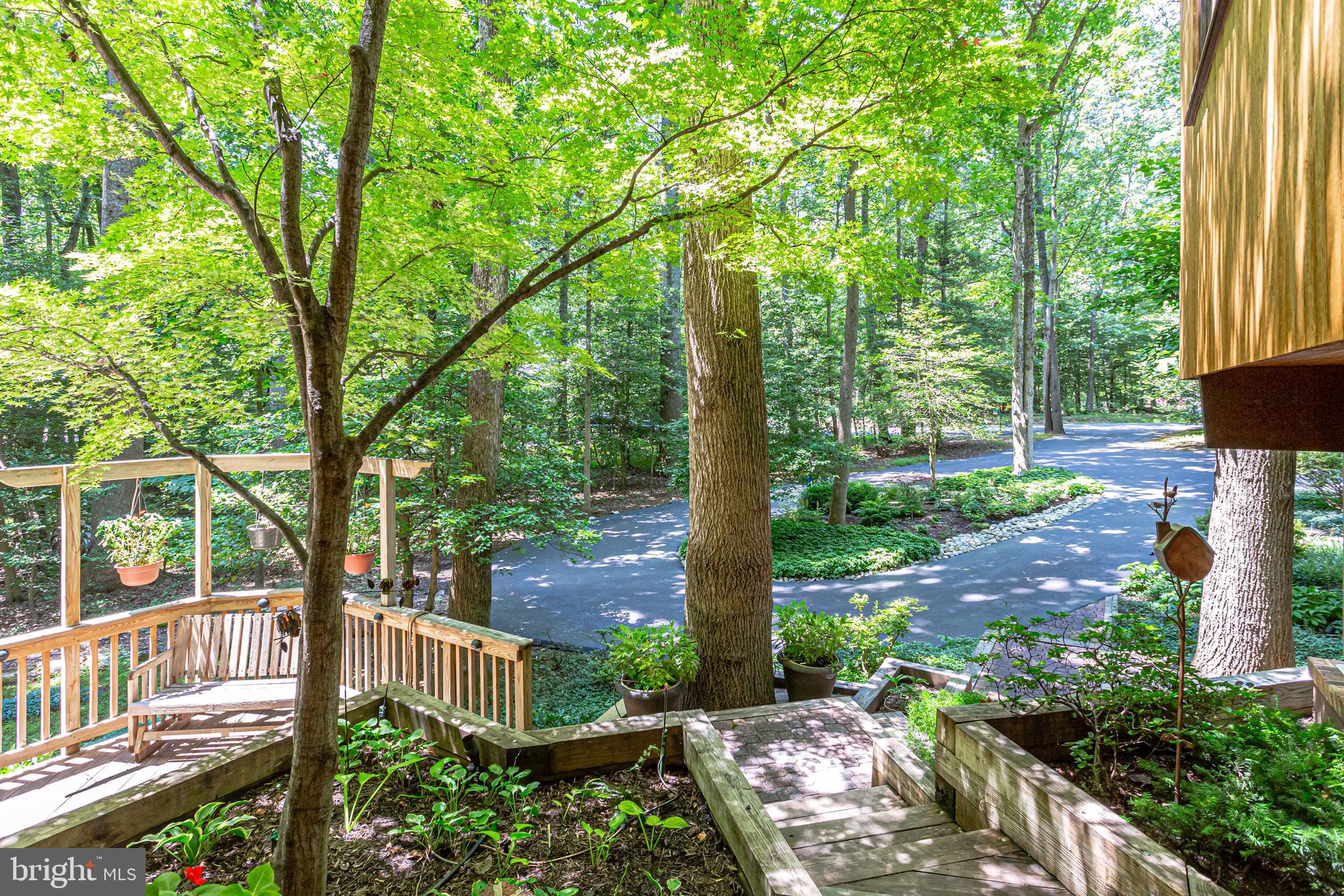 11606 Foxclove Road Reston, VA 20191 - Photo 67 of 80 View to Street