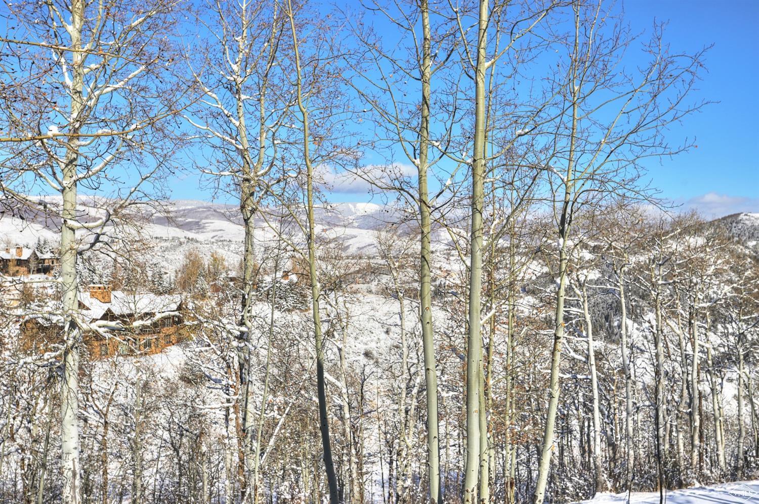 277 Saddle Ridge Loop Edwards, CO 81632 - Photo 9 of 25 Additional Photo