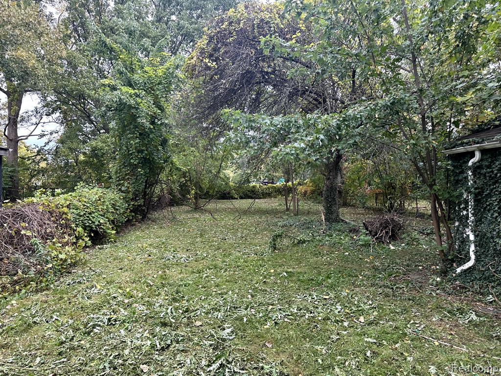 3950 Cadieux Road Detroit, MI 48224 - Photo 9 of 12 Gallery Image 9