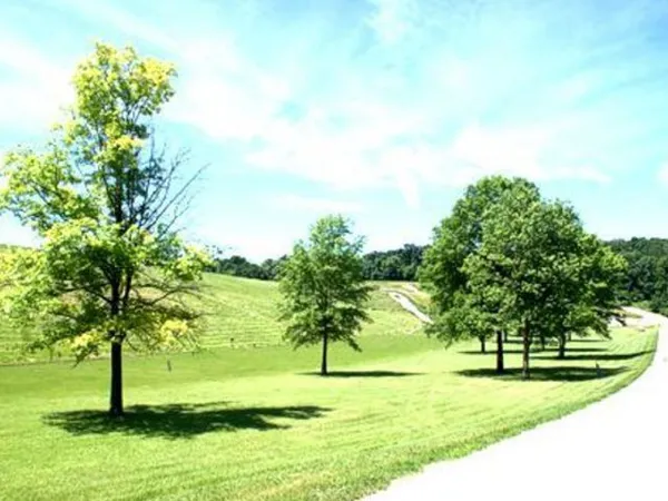 a childrens park with lots of swings and slides