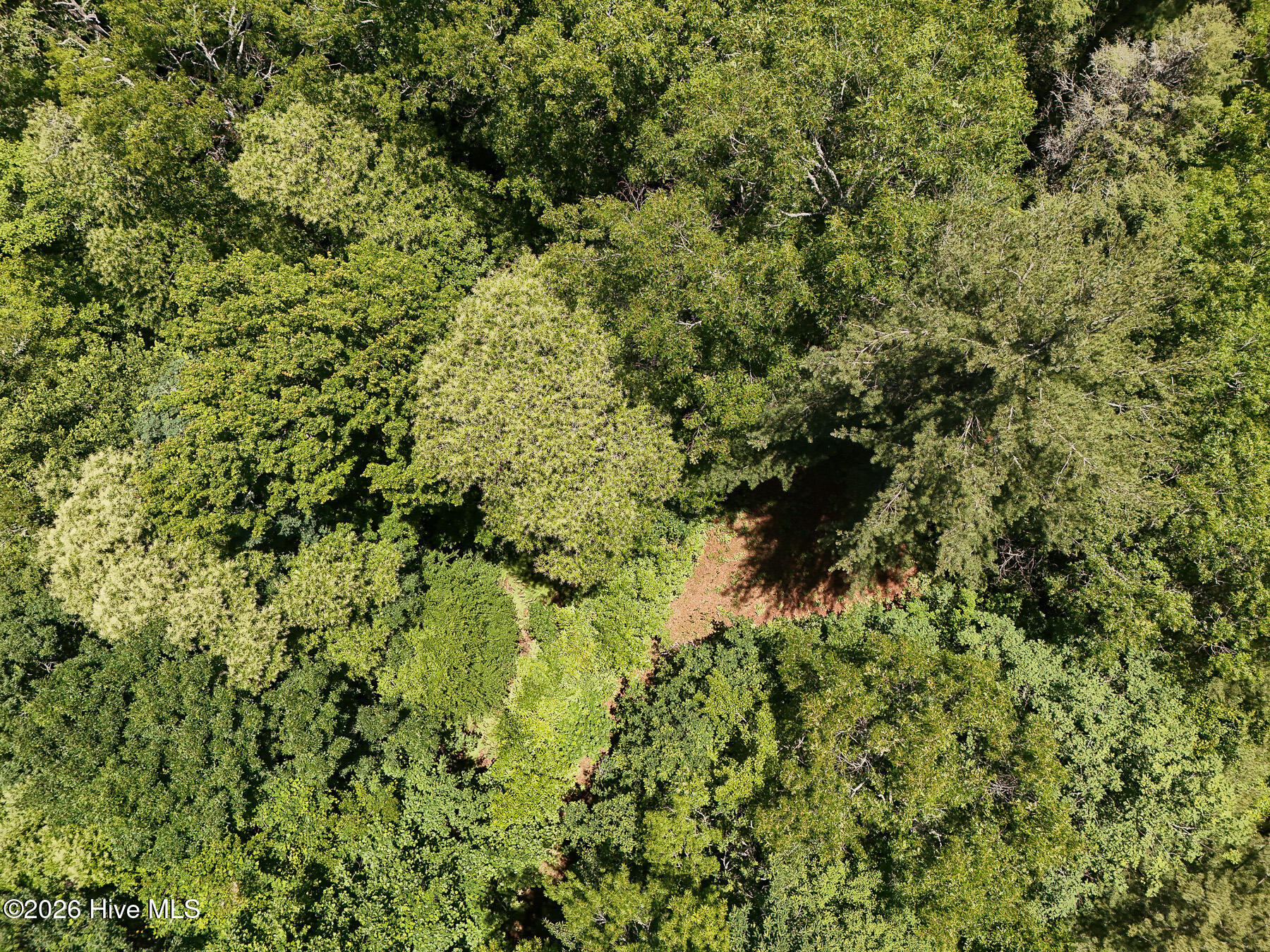0 Old Lodge Road Topton, NC 28781 - Photo 6 of 18