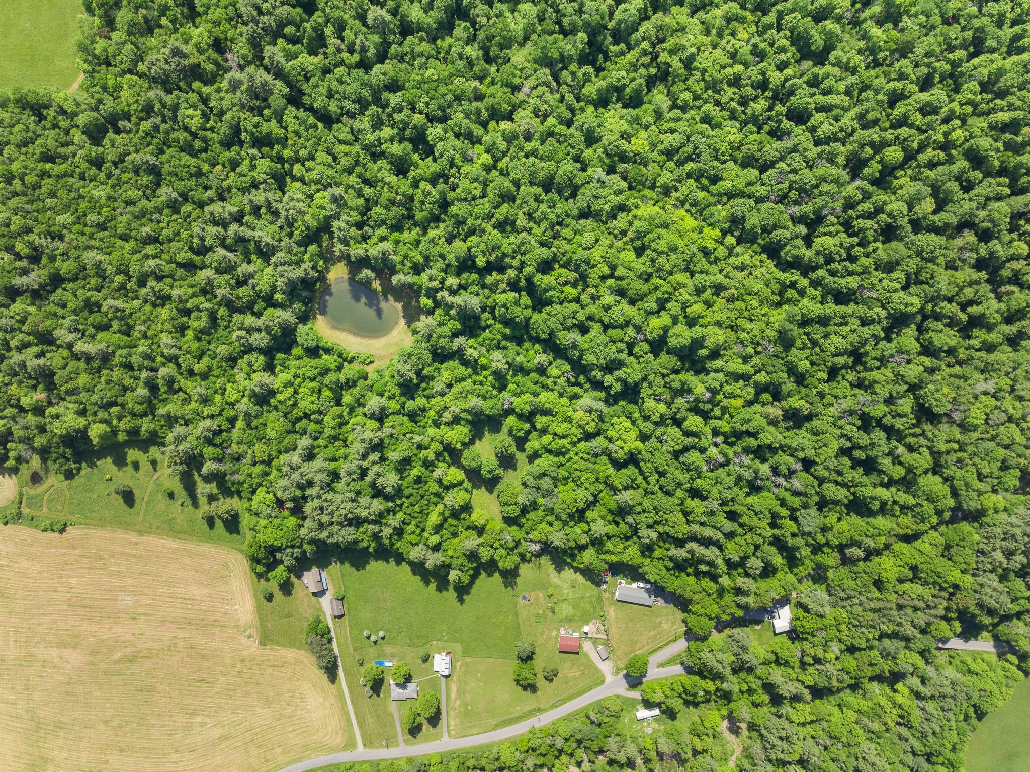 163 Race Road Greene, NY 13778 - Photo 10 of 42
