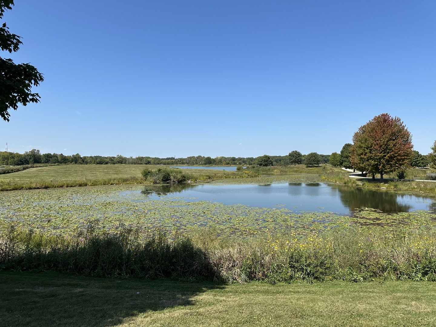 1921 Lynn Circle Libertyville, IL 60048 - Photo 41 of 42