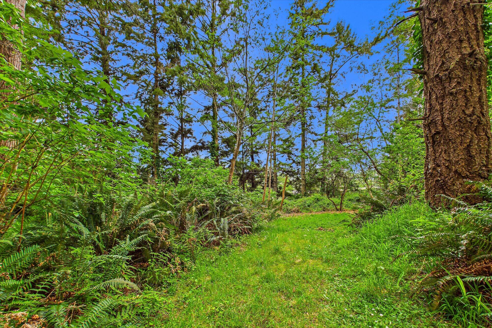 452 Tanglewood Road Arcata, CA 95521 - Photo 67 of 76