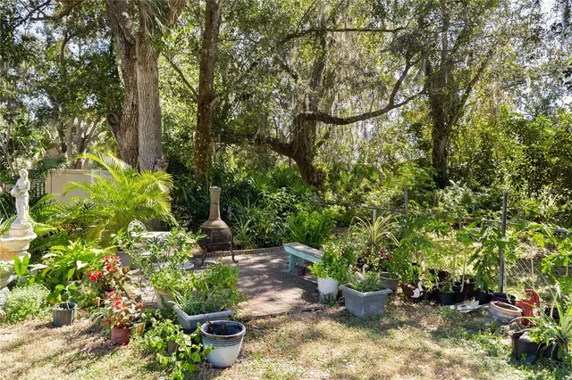 a view of a backyard with potted plants and large trees