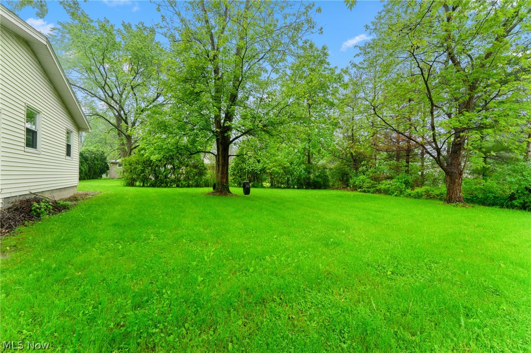 962 Keefer Road Girard, OH 44420 - Photo 30 of 31 View of yard