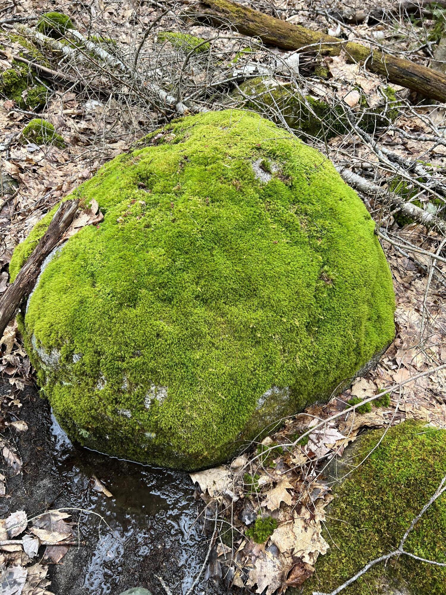 Lot 42 Upper Hostile Valley Road Liberty, ME 04949 - Photo 2 of 19 IMG_3155