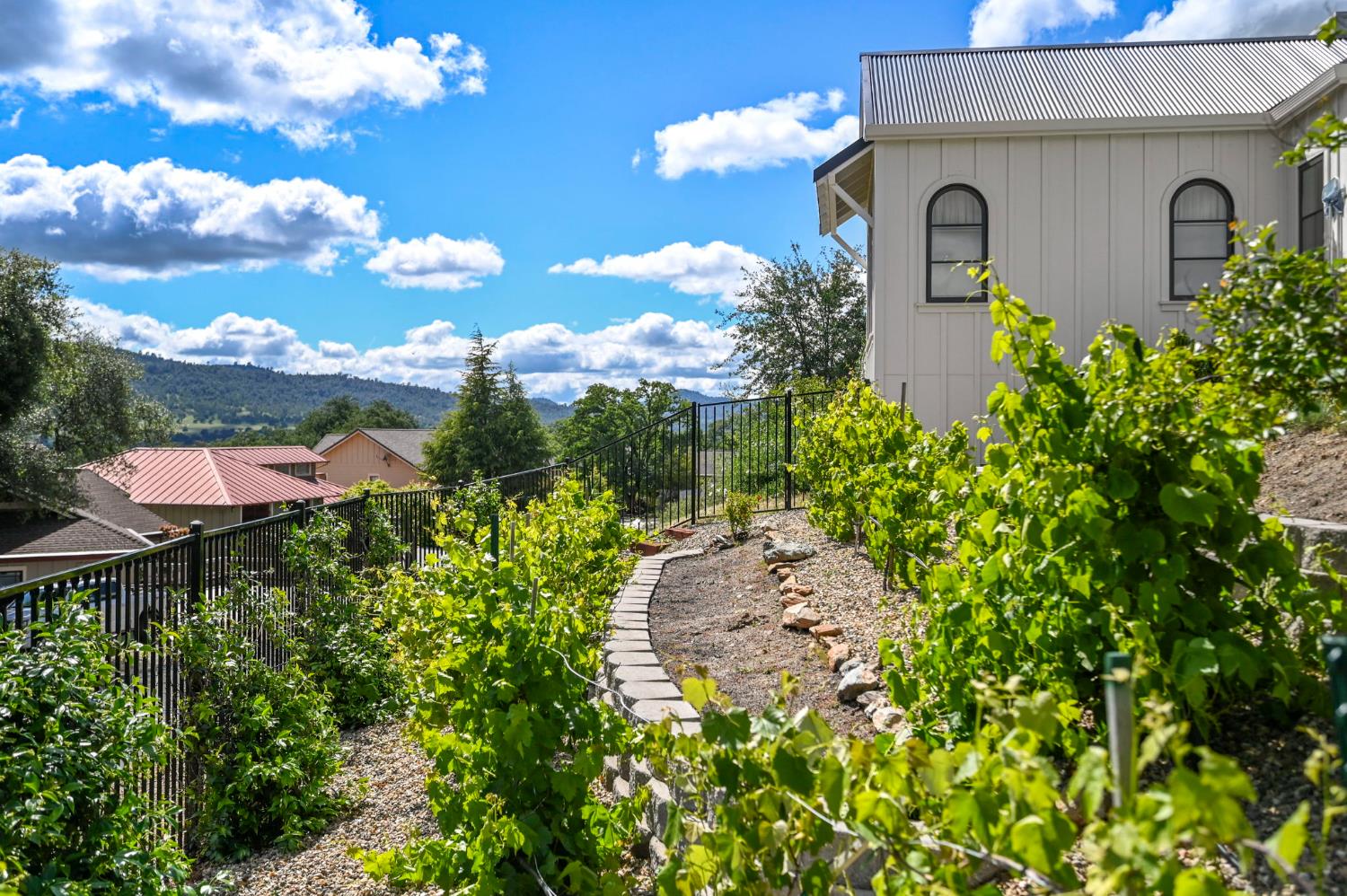 616 Selkirk Ranch Road Angels Camp, CA 95222 - Photo 59 of 69