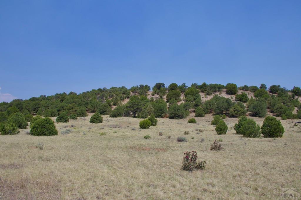 Unit #4 Unit Road Walsenburg, CO 81089 - Photo 26 of 36