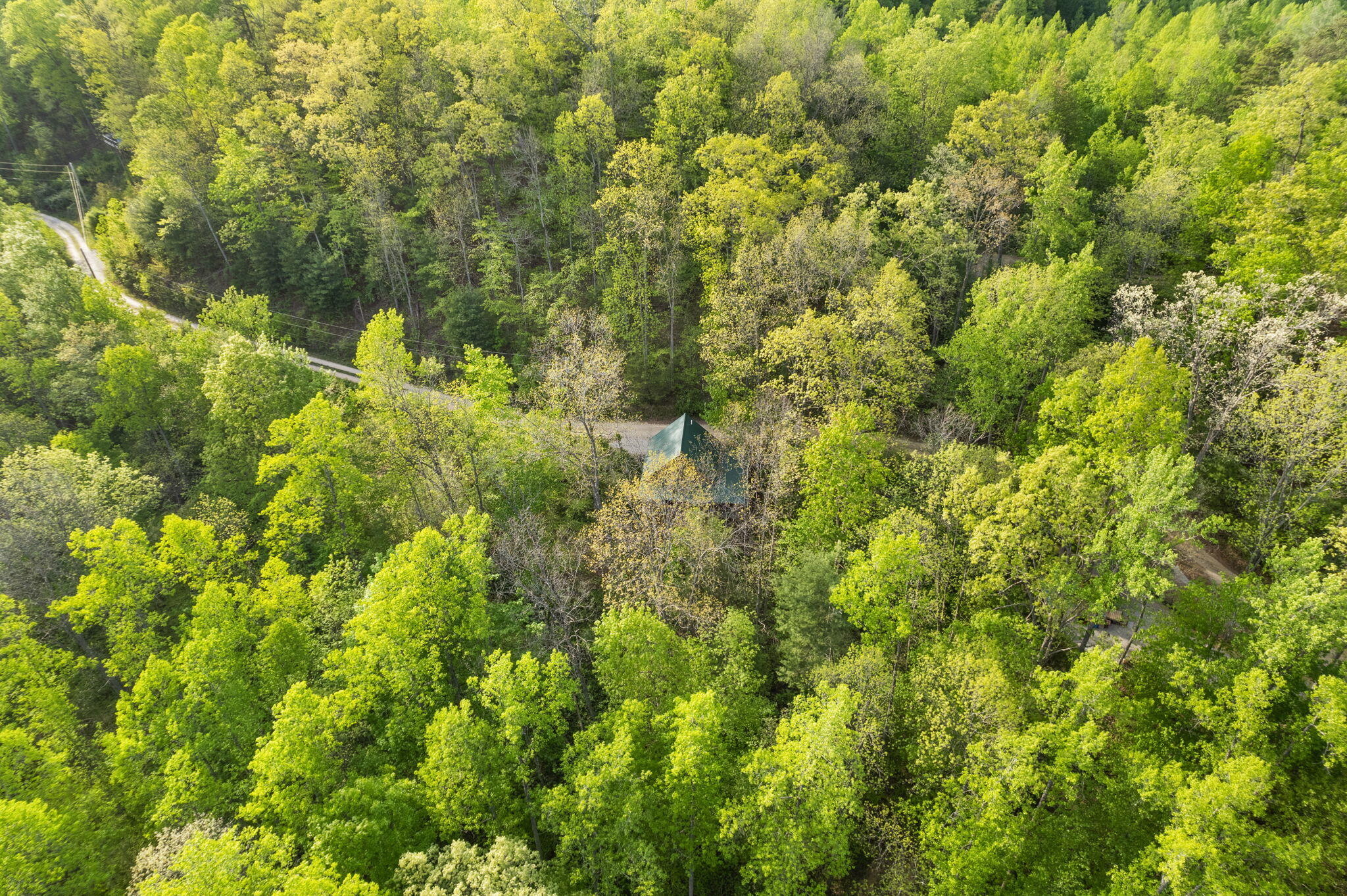 275 Black Bear Ridge Road Campton, KY 41301 - Photo 43 of 49 43-web-or-mls-DJI_0353