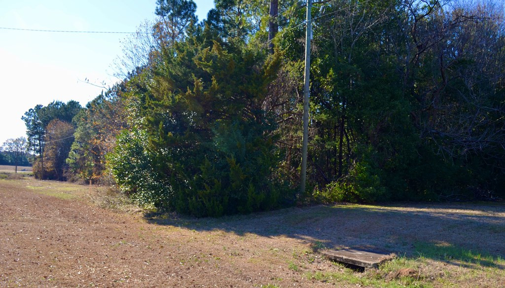 395 Loring Mill Road Sumter, SC 29150 - Photo 2 of 8