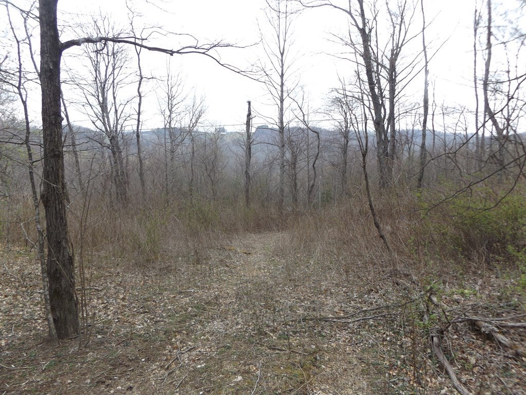 Tbd Blue Ridge Parkway, Unit 5 Fancy Gap, VA 24328 - Photo 3 of 9 Gallery Image 3