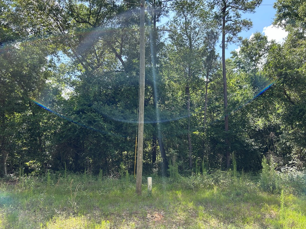 19.16-ac 19.16-ac Ramer Loop Cottonwood, AL 36320 - Photo 21 of 34