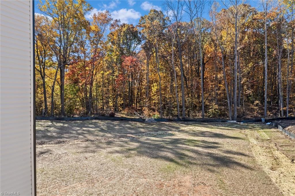 6049 Frye Bridge Road Clemmons, NC 27012 - Photo 36 of 36 Gallery Image 36