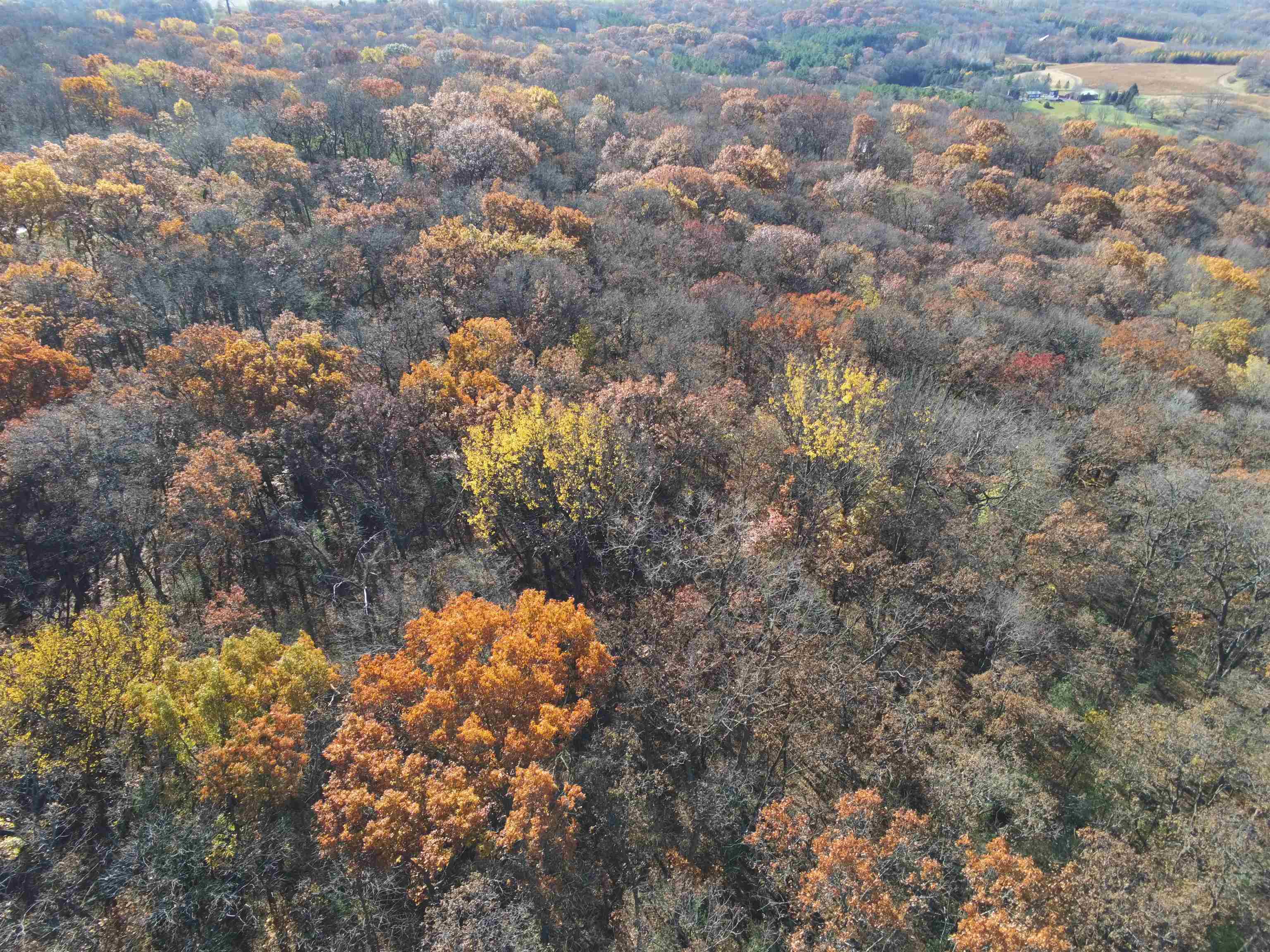 21.99 Observatory Cross Plains, WI 53528 - Photo 11 of 25