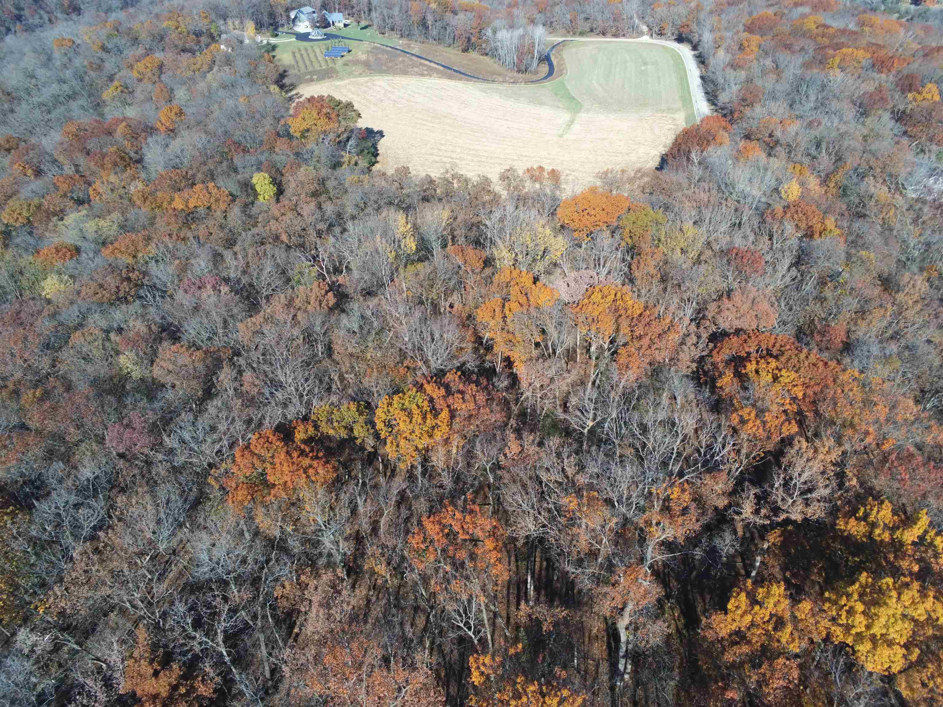 21.99 Observatory Cross Plains, WI 53528 - Photo 15 of 25