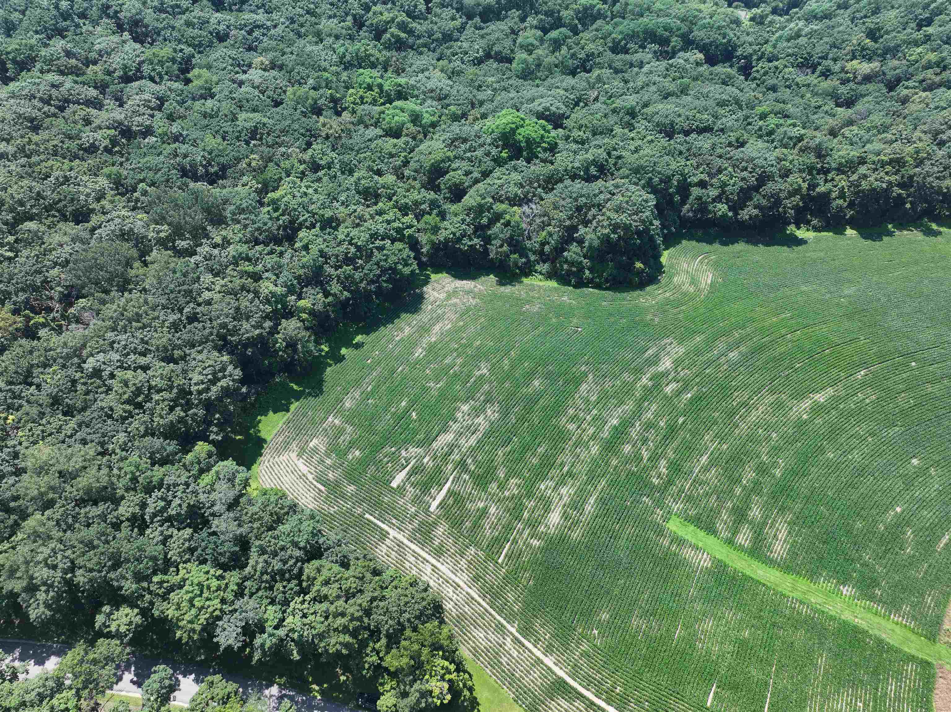 21.99 Observatory Cross Plains, WI 53528 - Photo 17 of 25