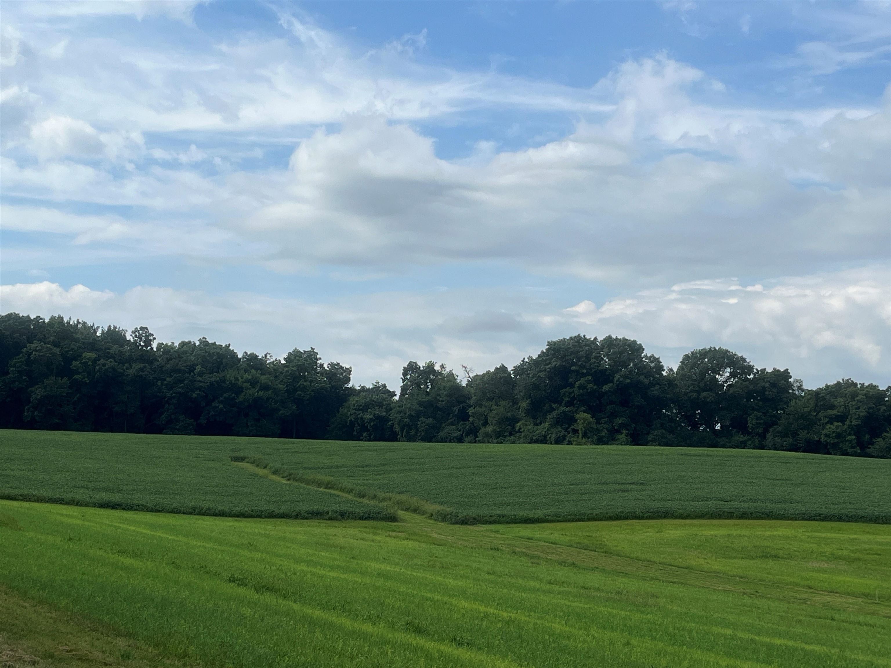 21.99 Observatory Cross Plains, WI 53528 - Photo 18 of 25