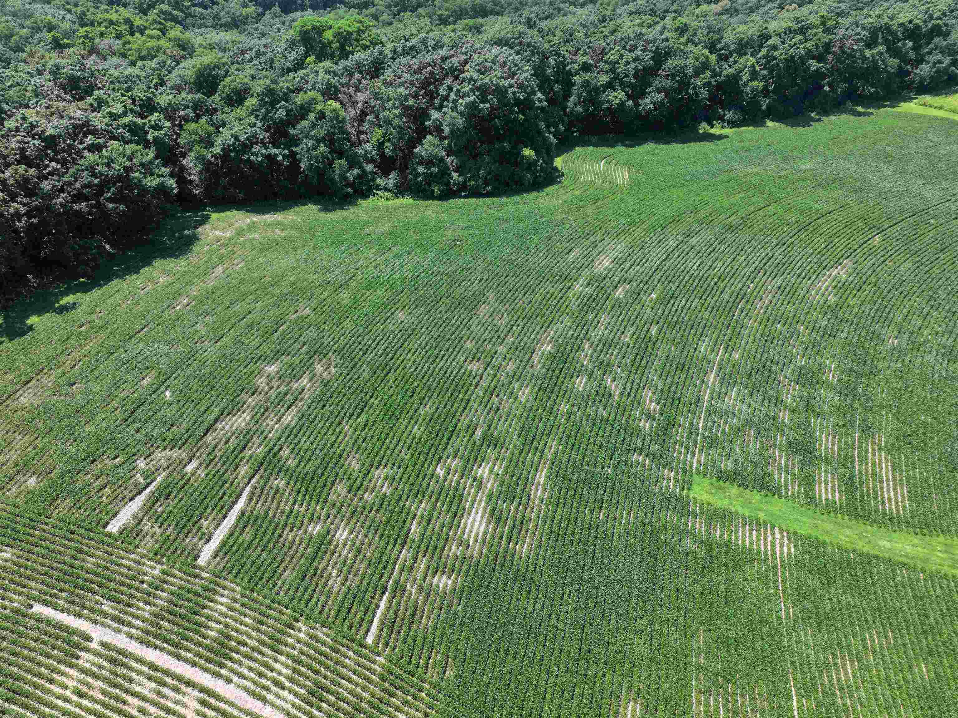 21.99 Observatory Cross Plains, WI 53528 - Photo 20 of 25