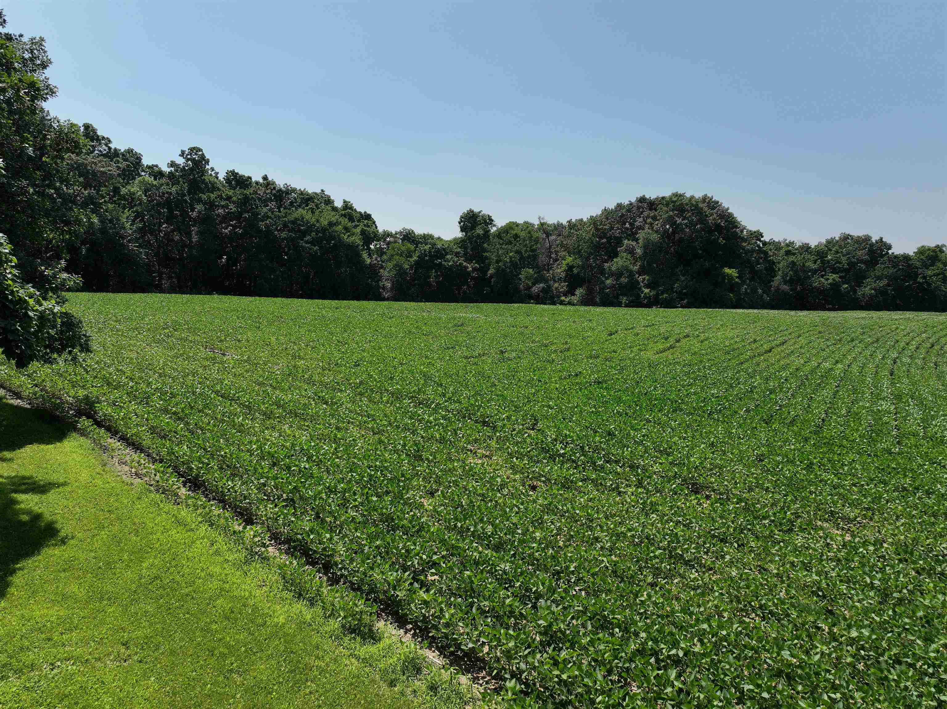 21.99 Observatory Cross Plains, WI 53528 - Photo 21 of 25