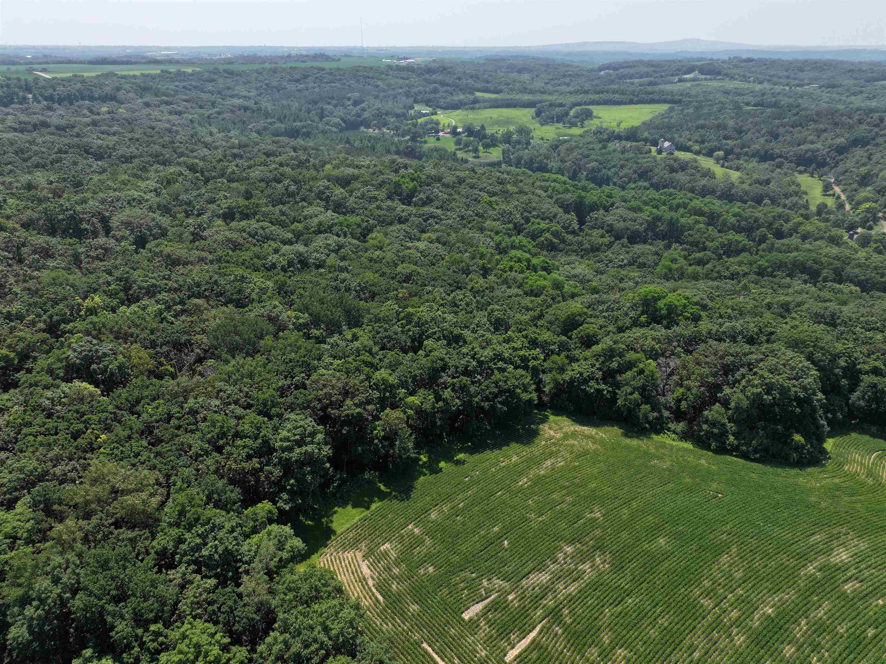 21.99 Observatory Cross Plains, WI 53528 - Photo 22 of 25