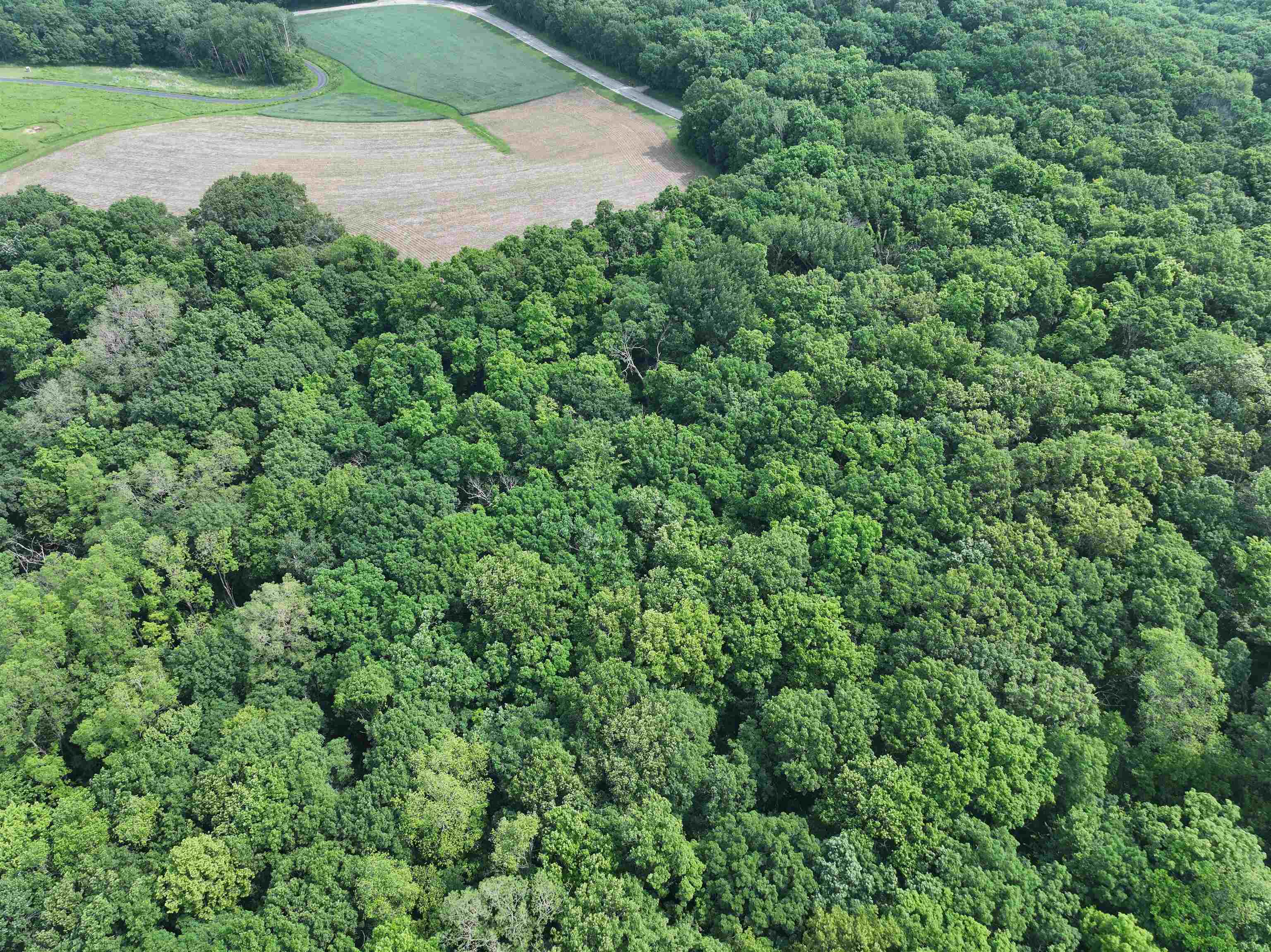 21.99 Observatory Cross Plains, WI 53528 - Photo 3 of 25