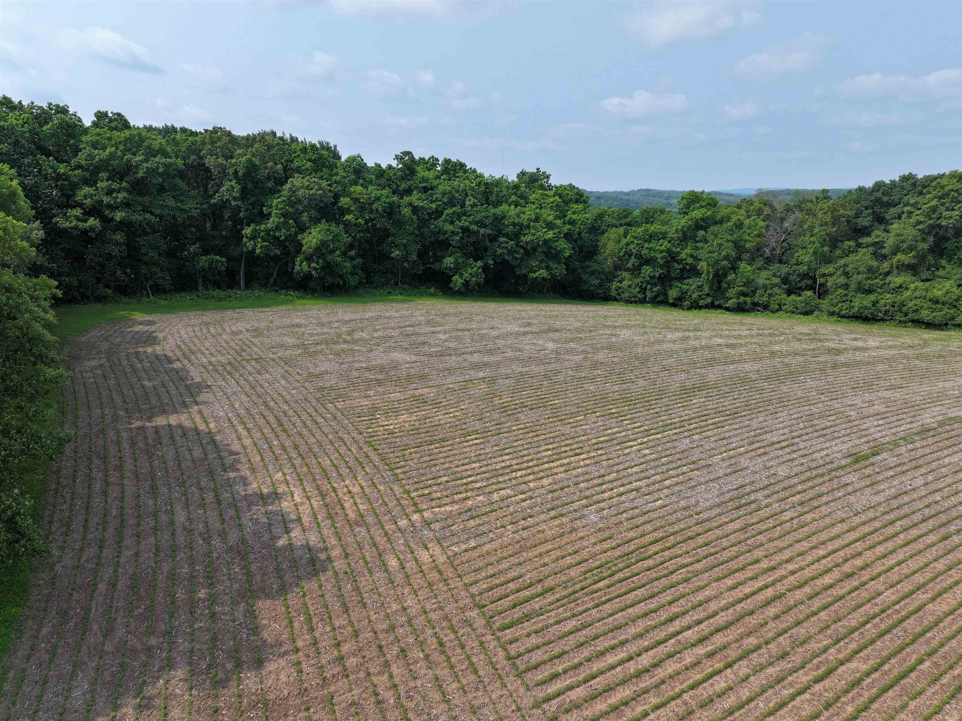 21.99 Observatory Cross Plains, WI 53528 - Photo 5 of 25