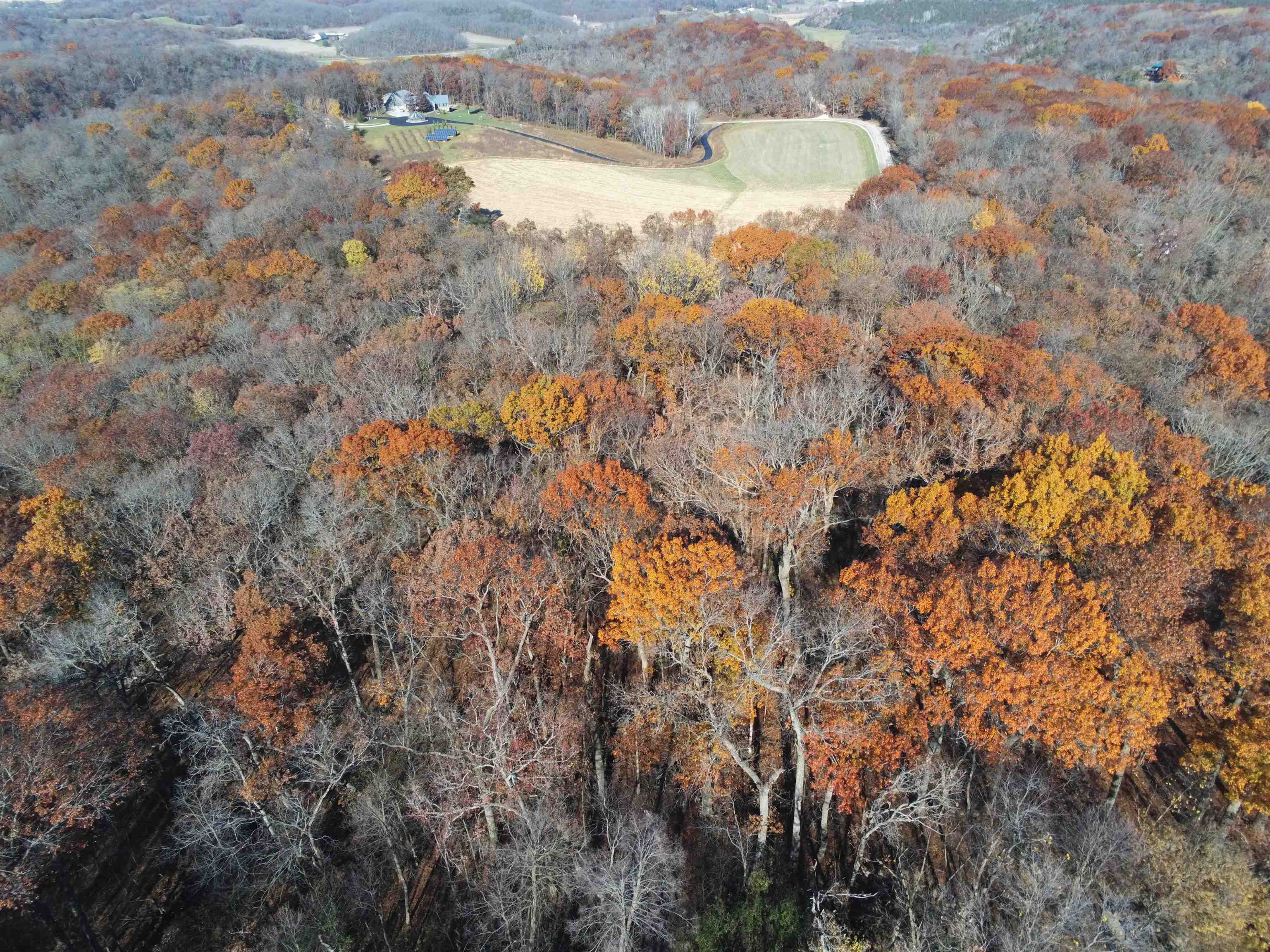 21.99 Observatory Cross Plains, WI 53528 - Photo 6 of 25