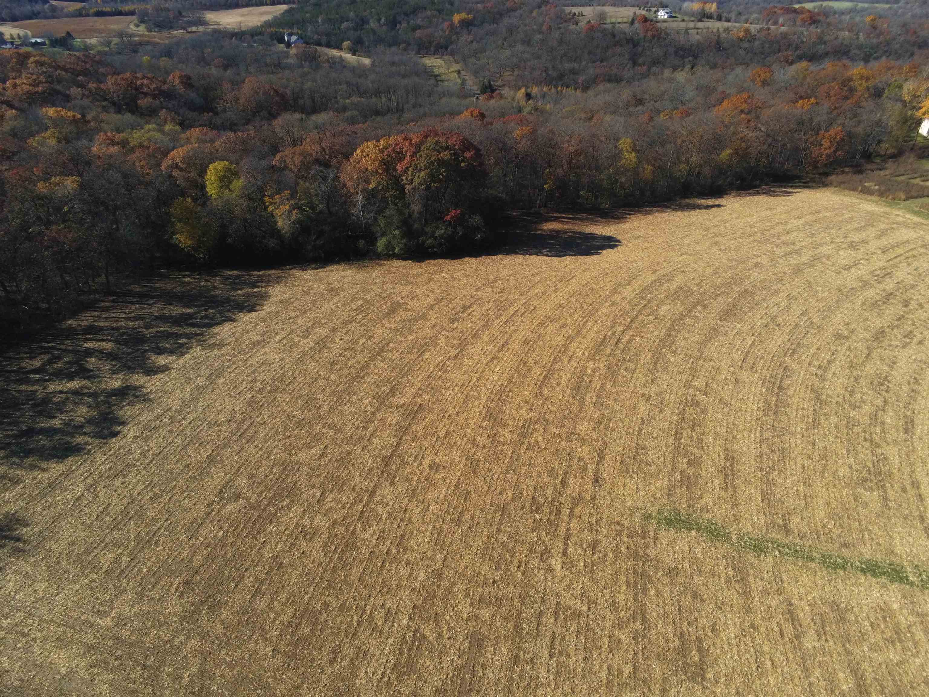 21.99 Observatory Cross Plains, WI 53528 - Photo 7 of 25