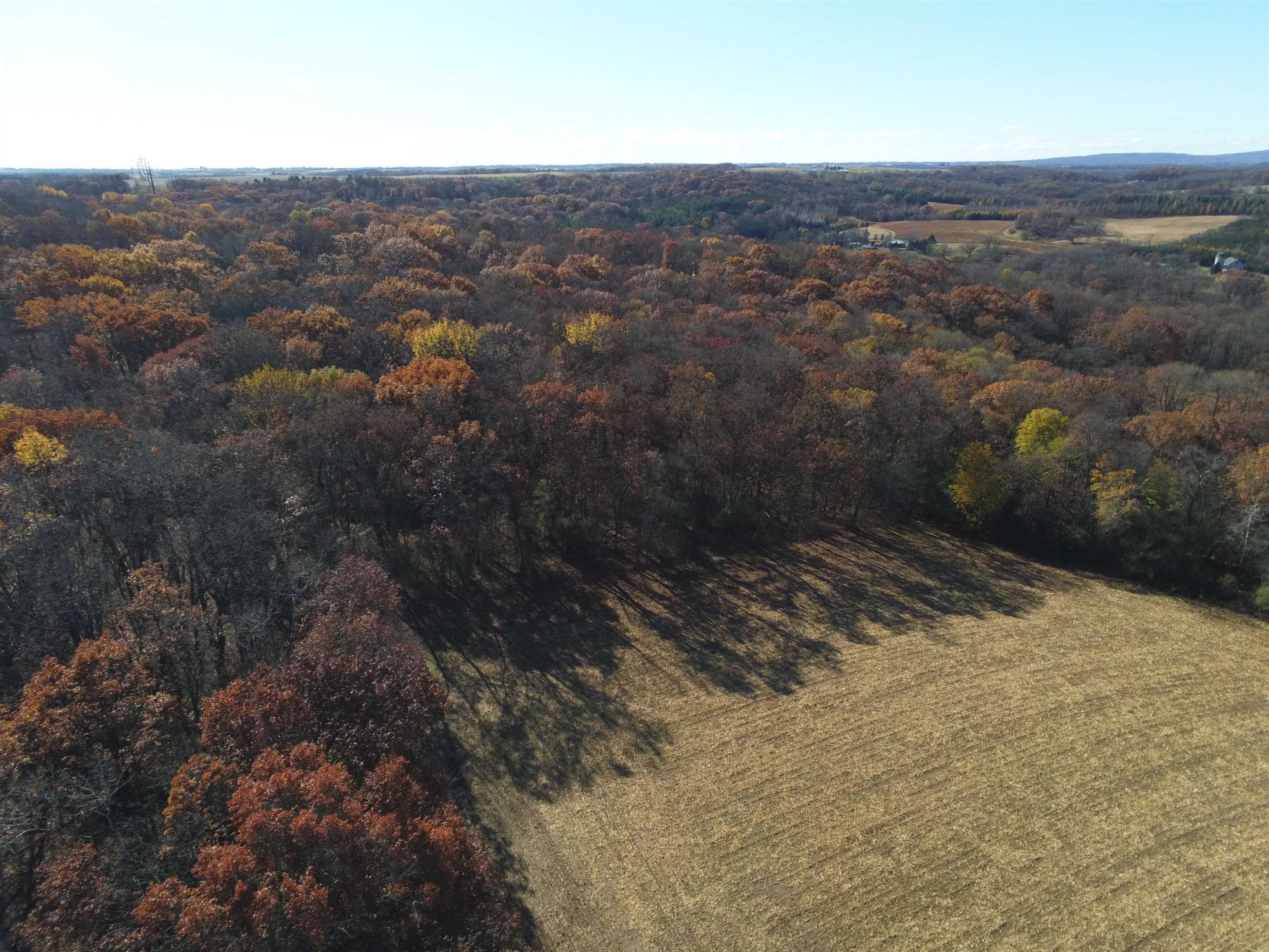 21.99 Observatory Cross Plains, WI 53528 - Photo 8 of 25