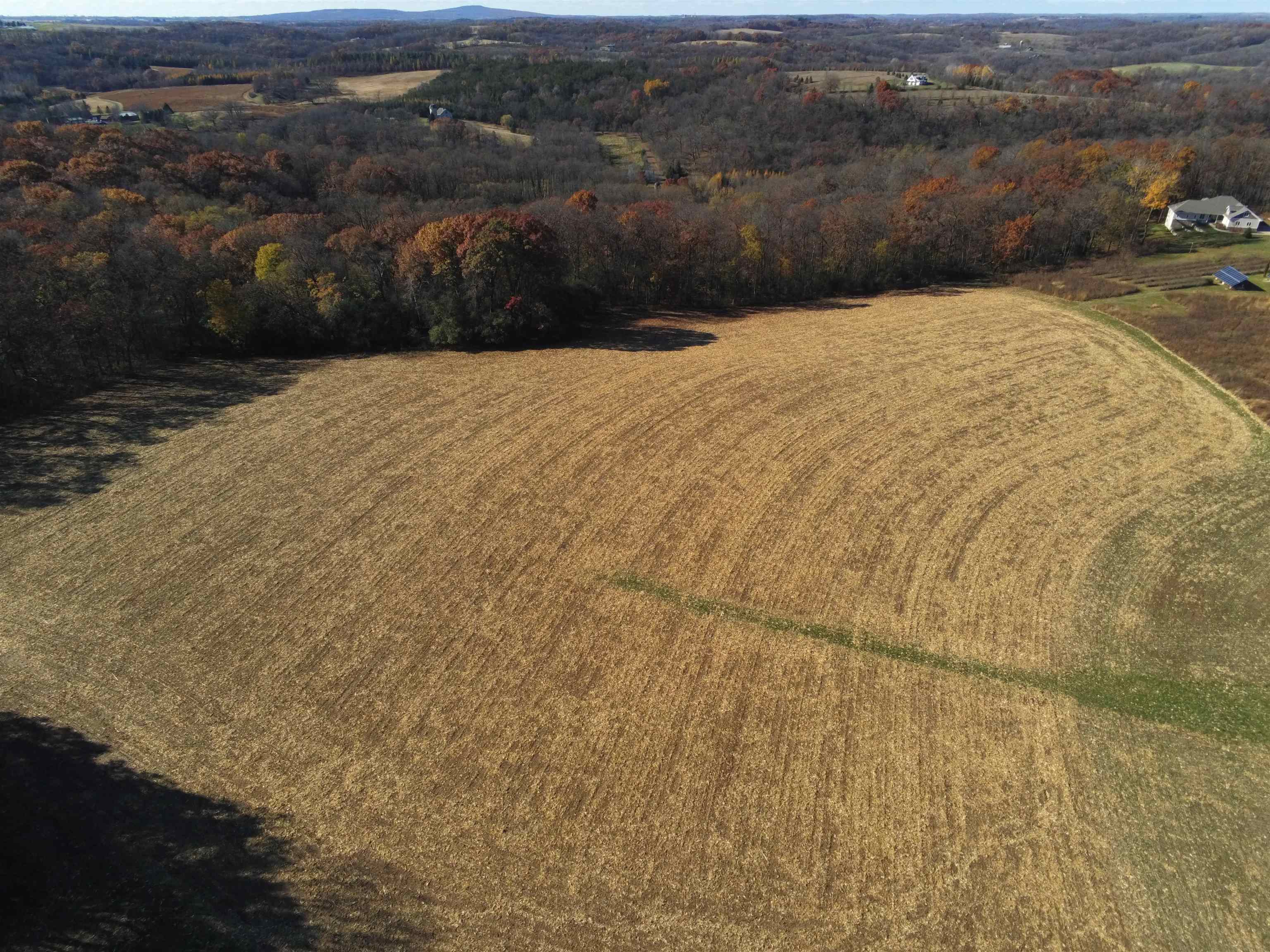 21.99 Observatory Cross Plains, WI 53528 - Photo 9 of 25