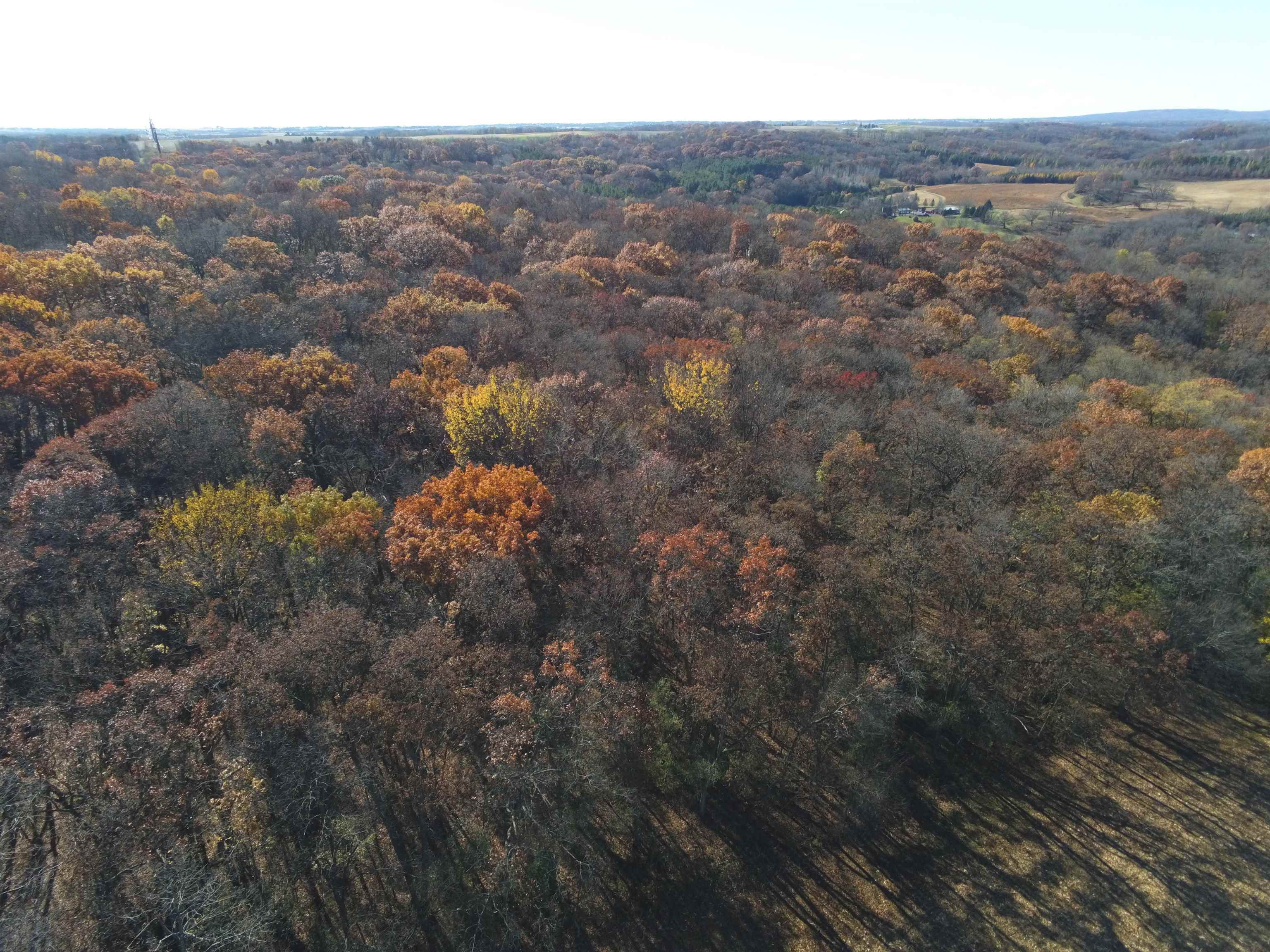 21.99 Observatory Cross Plains, WI 53528 - Photo 10 of 25