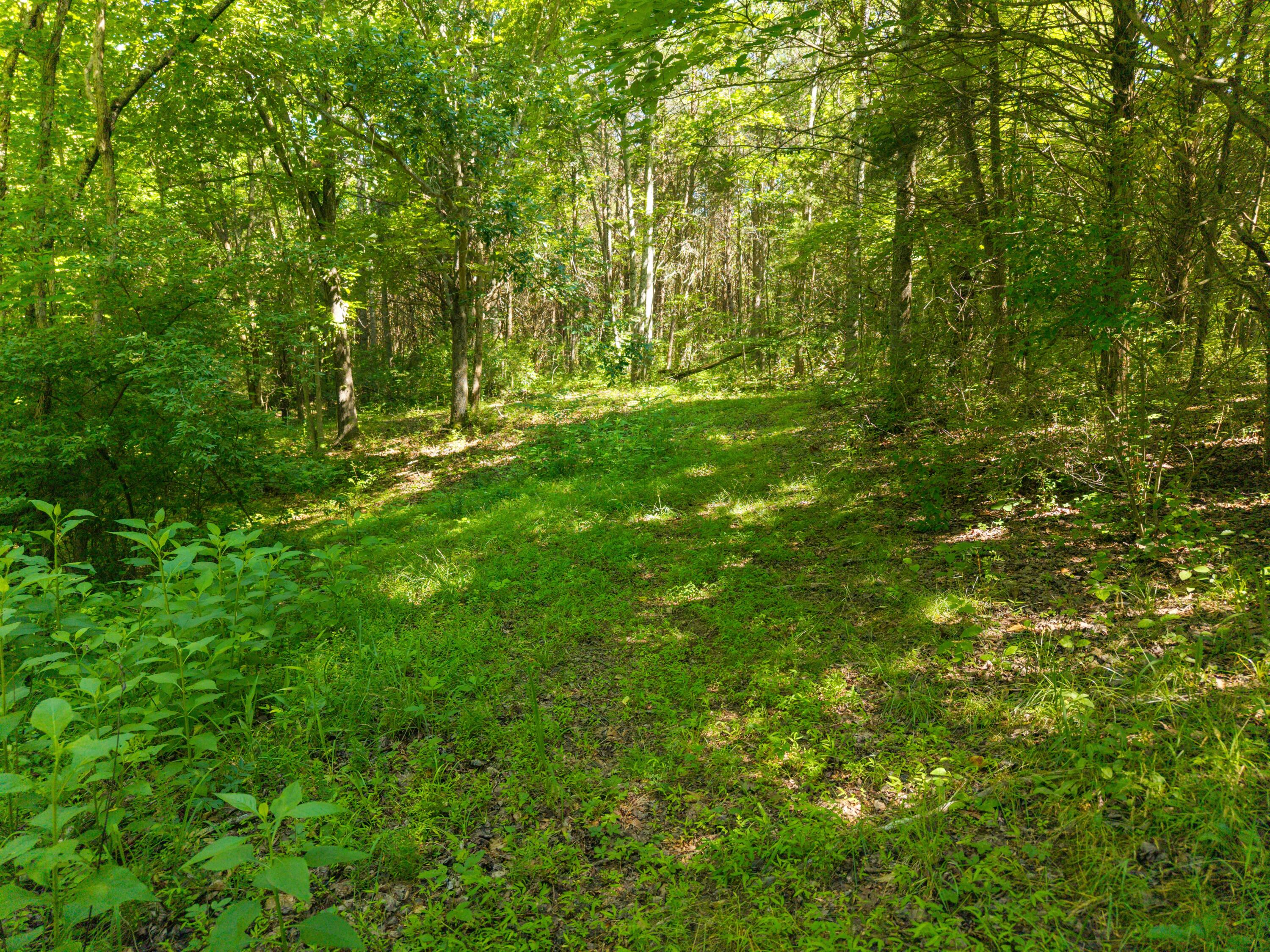 4504 Cave Springs Road Nancy, KY 42544 - Photo 40 of 58 Cave Springs Photo-34