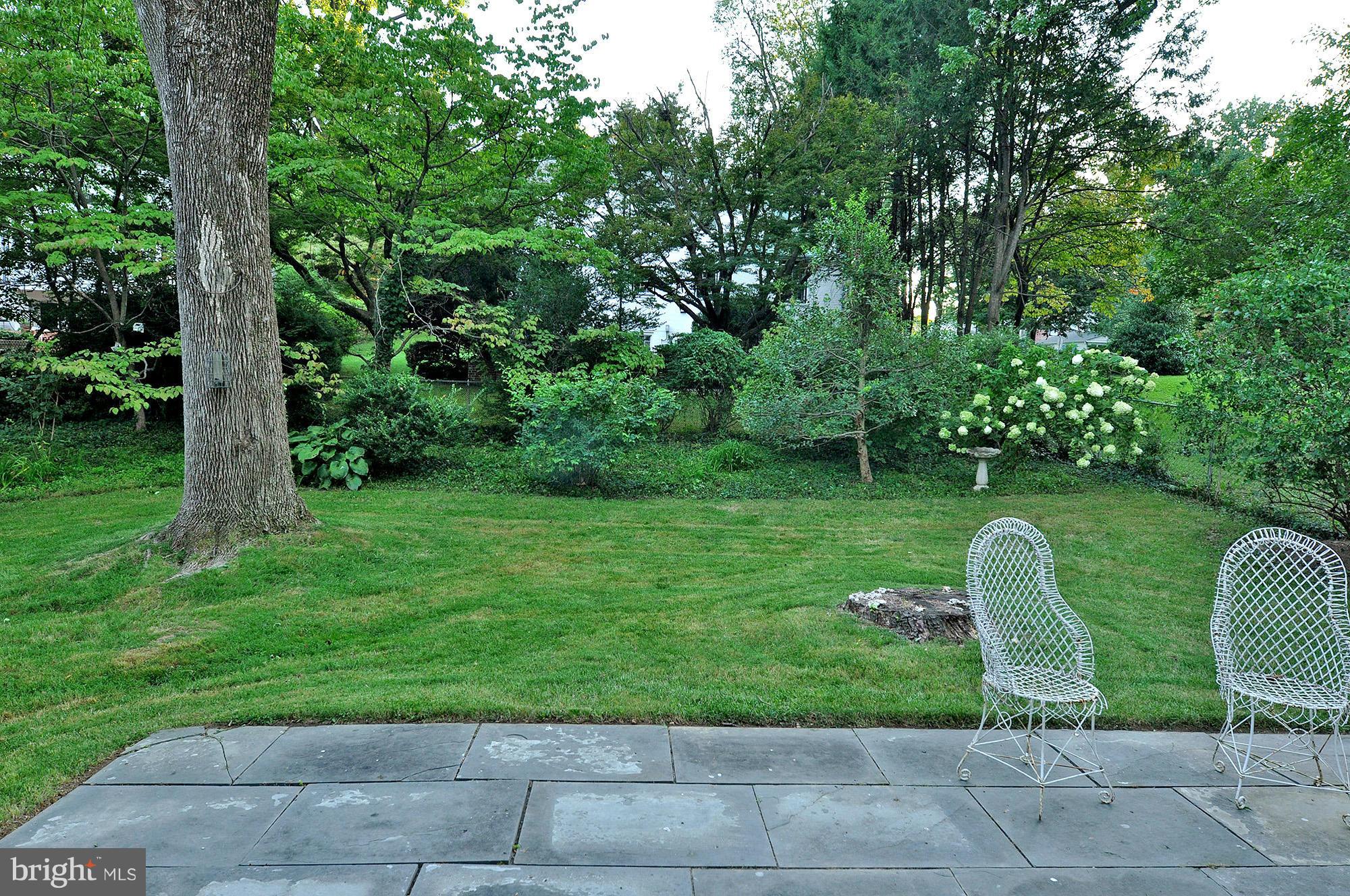 4516 Cortland Road Chevy Chase, MD 20815 - Photo 27 of 30 Back Yard 1