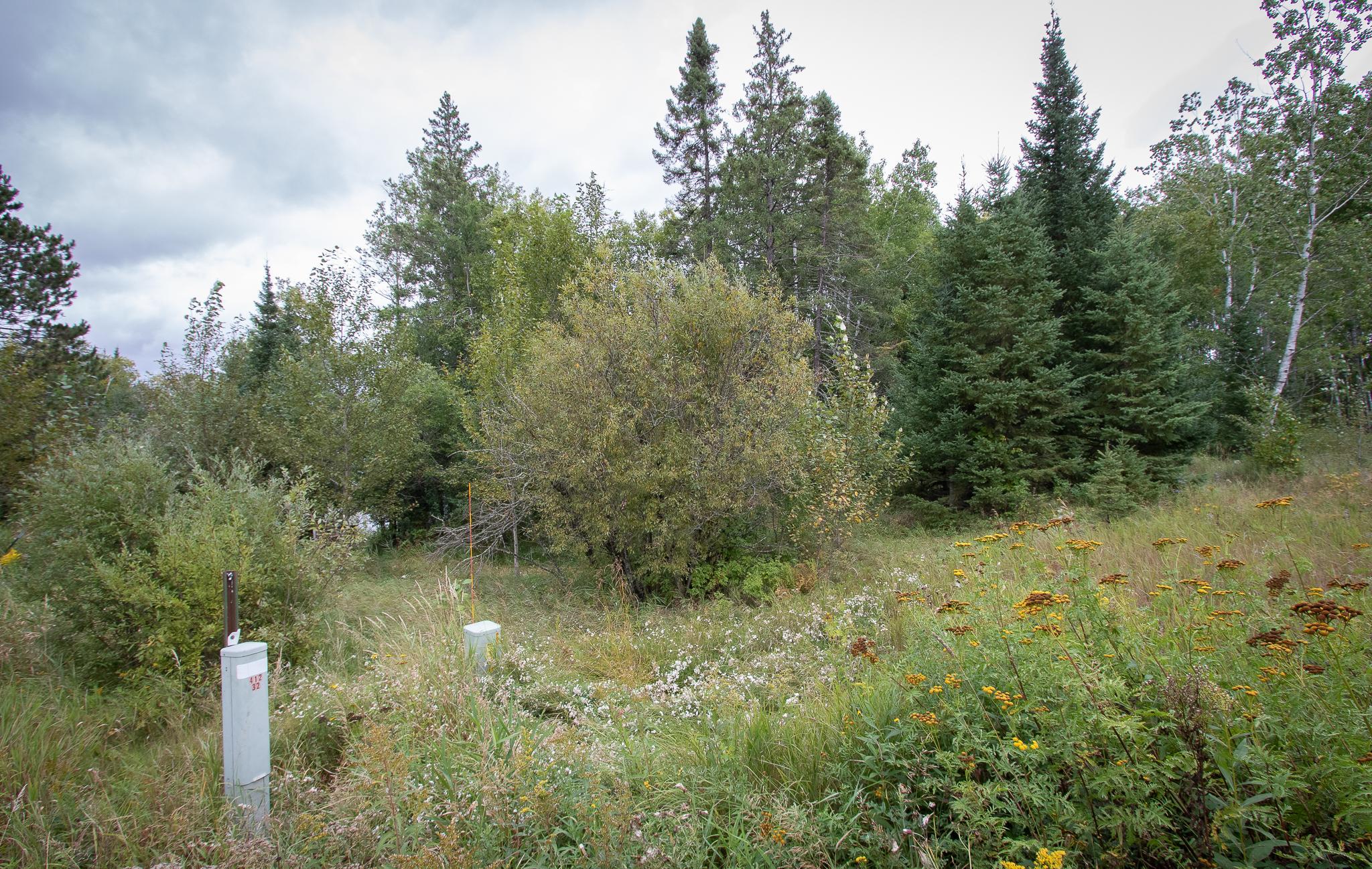 Tbd Libby Lake Road Nashwauk, MN 55769 - Photo 19 of 28