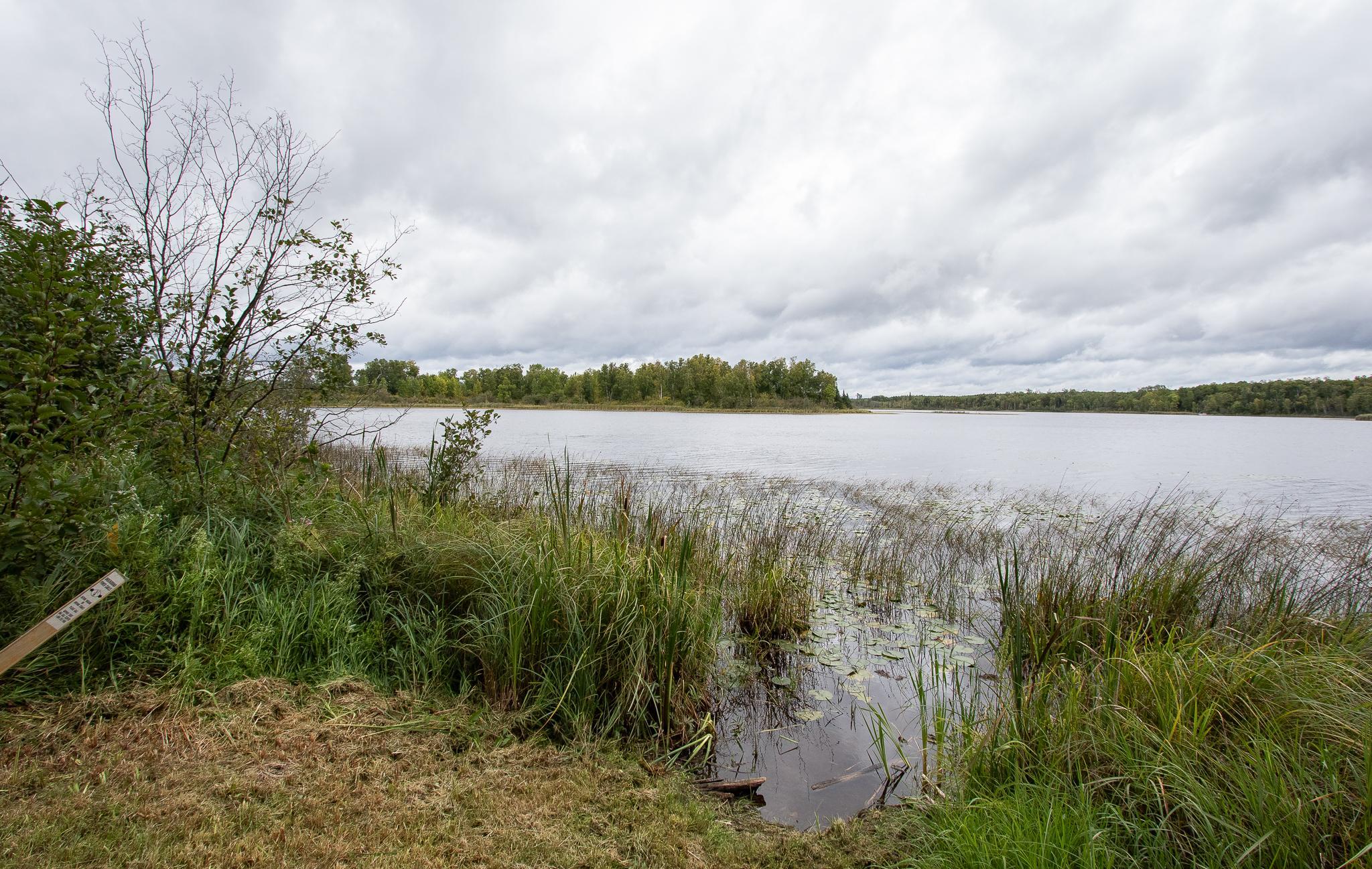 Tbd Libby Lake Road Nashwauk, MN 55769 - Photo 6 of 28