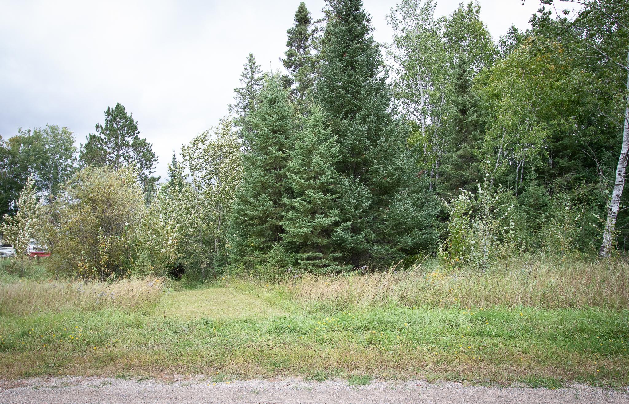 Tbd Libby Lake Road Nashwauk, MN 55769 - Photo 8 of 28