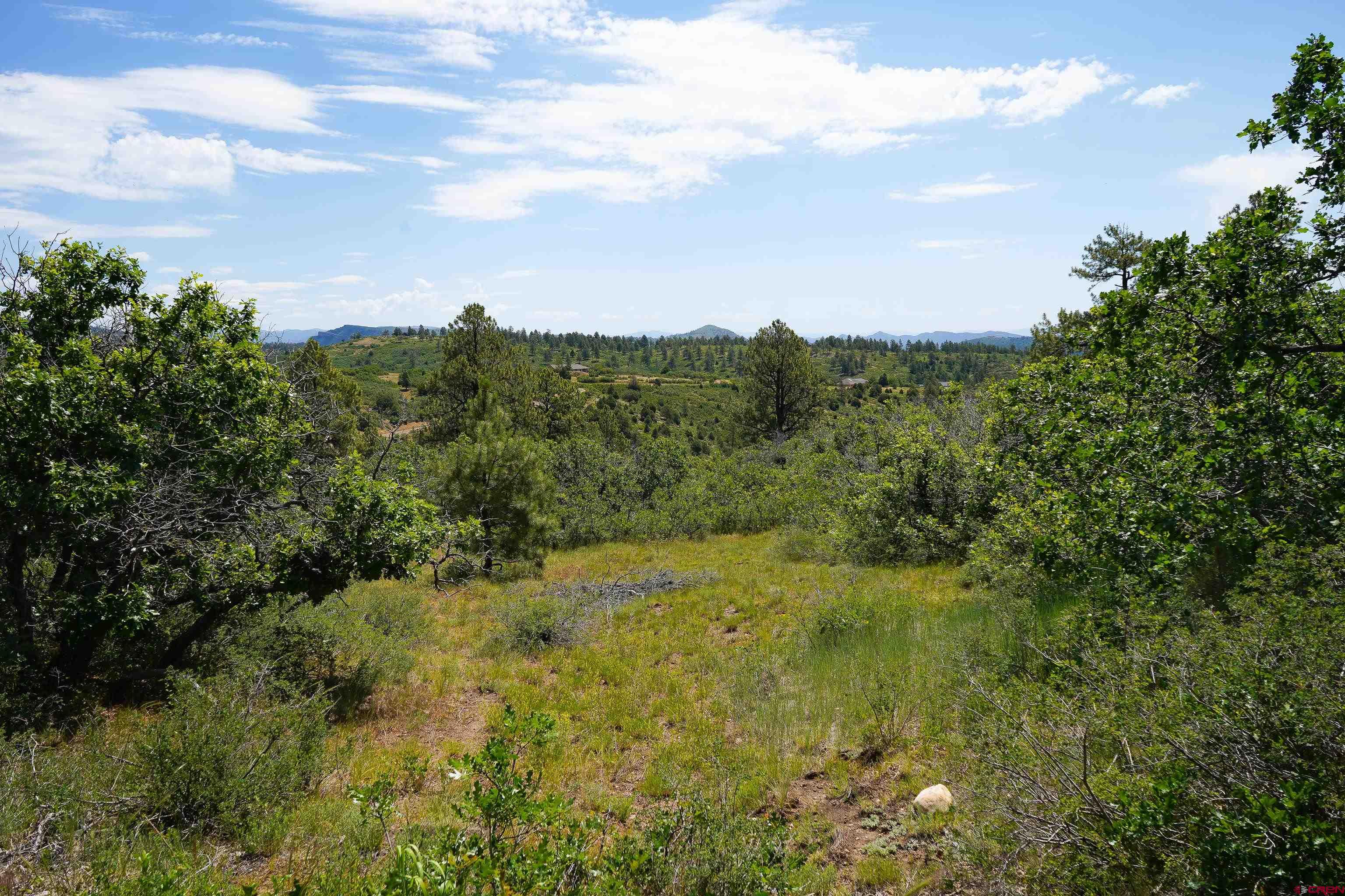 224 West Durango Ridge Road Durango, CO 81301 - Photo 7 of 16