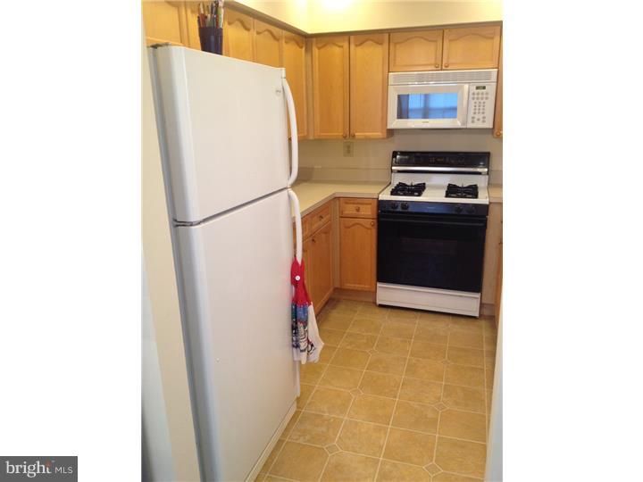 5423 Rinker Circle, Unit 276 Doylestown, PA 18902 - Photo 3 of 18 Gallery Image 3