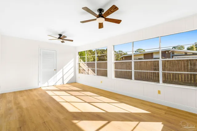 a street view with tall trees