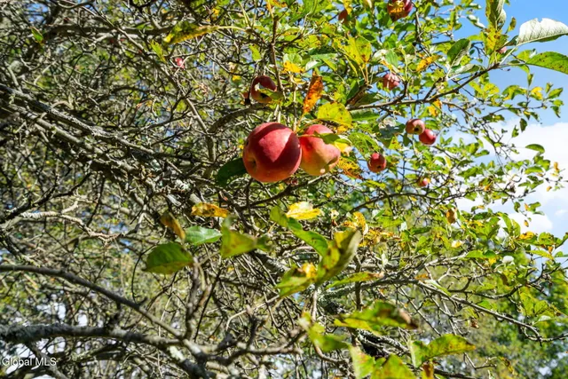 $1,250,000 | 713 Riverview Road, Rexford, NY 12148