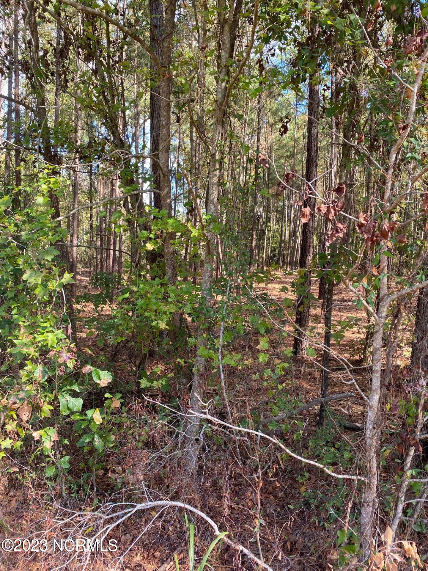 1 Highsmith Road Rocky Point, NC 28457 - Photo 15 of 19 Highsmith Rd Furr 16