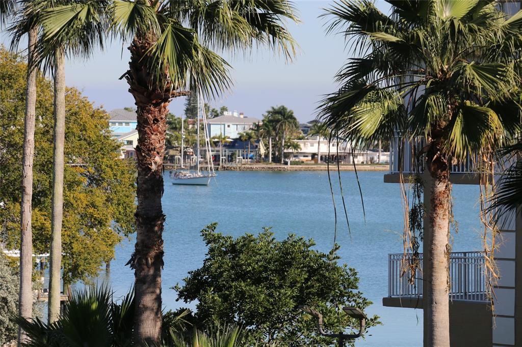 401 150th Avenue, Unit 223 Madeira Beach, FL 33708 - Photo 14 of 50 a view of a yard with a palm tree