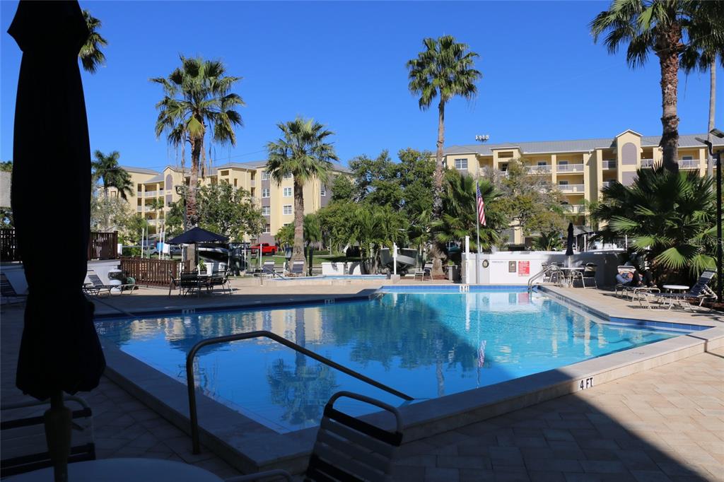 401 150th Avenue, Unit 223 Madeira Beach, FL 33708 - Photo 24 of 50 a view of a swimming pool with a lounge chair and palm tree